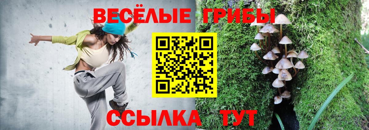 Галлюциногенные грибы Cubensis Ивантеевка